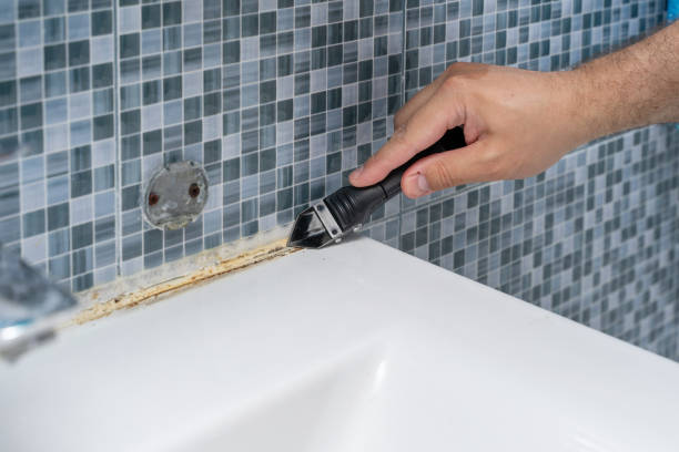 Best Black Mold Removal  in Clarion, PA